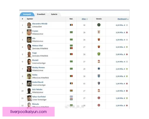 欧洲杯市场价值分析：明星球员助力球队竞争力提升值得关注